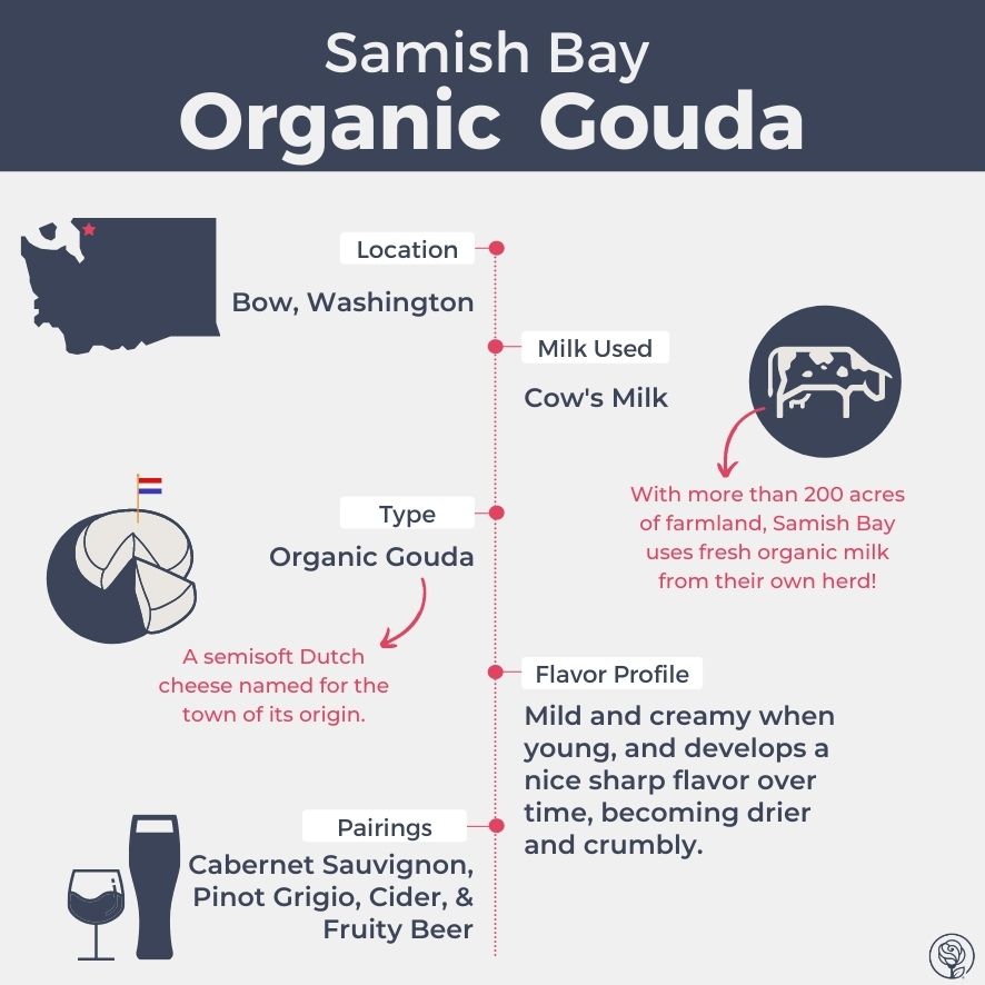 Samish Bay Organic Gouda Flavor Profile Infographic